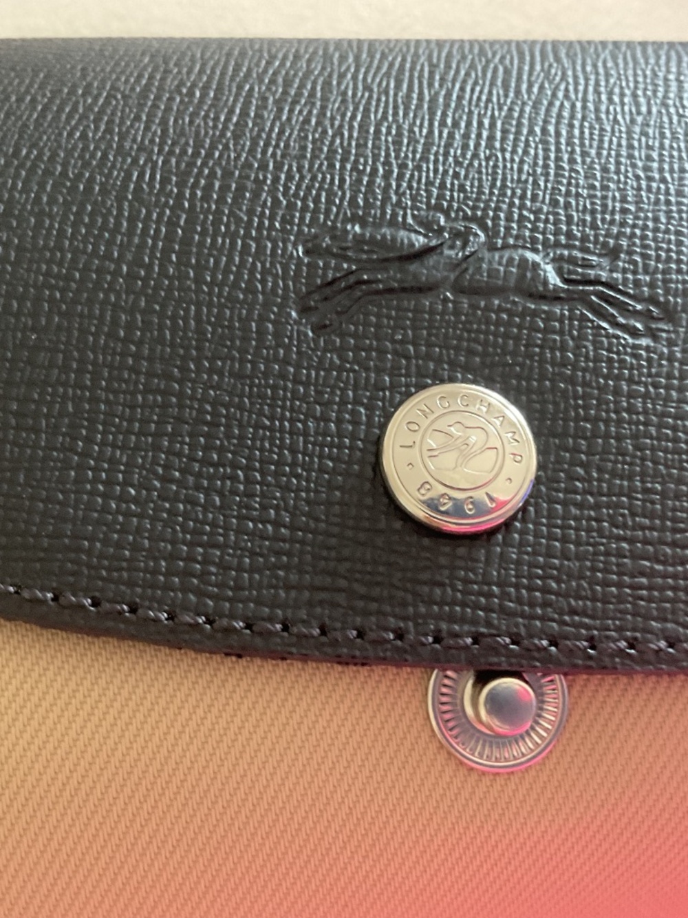 Brand New Longchamp Bag - Picture 3 of 4